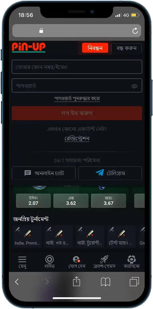 Pin Up BD Login 1